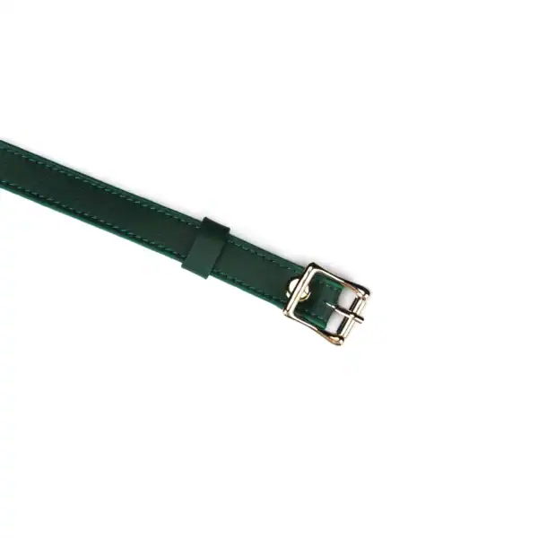 Packshot Green Leather Eye Headband Zoom Detail on Gold Tie