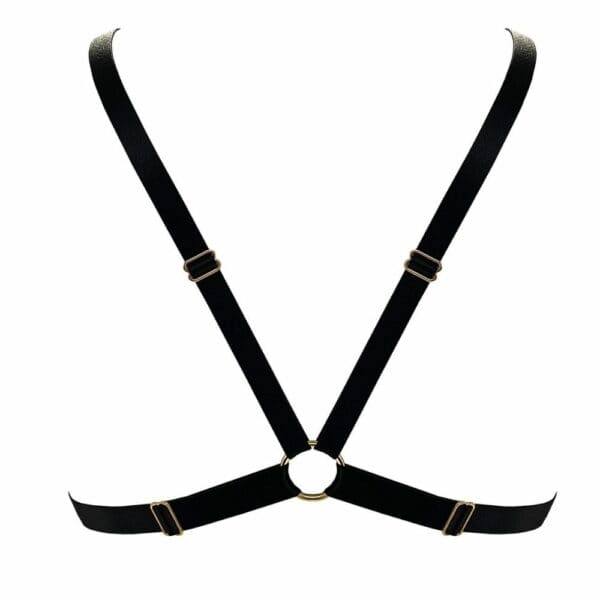 BORDELLE Signature - Soutien-Gorge Triangle Résille Soutien-Gorge Triangle Résille en Mesh Et Détail doré