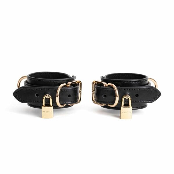 Packshot Handschellen aus Leder mit Ring Und Schnalle D Gold