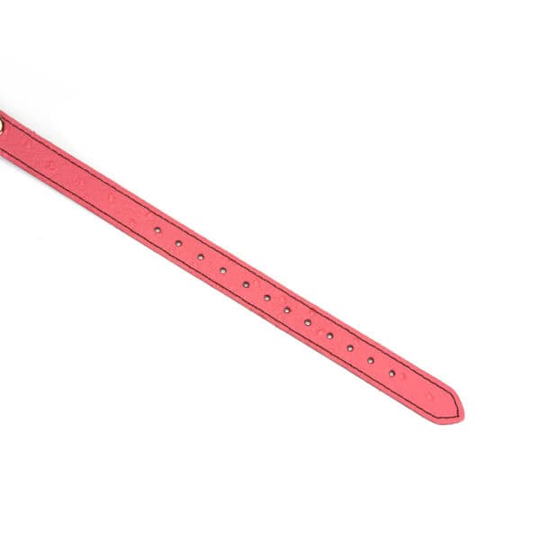 Ожерелье Packshot Pink Leather GAG с черным силиконовым шариком на розовом кожаном ремешке