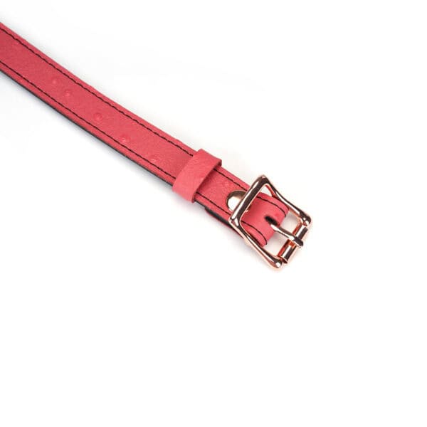 Ожерелье Packshot Pink Leather GAG с черным силиконовым шариком
