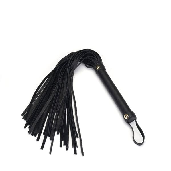 Packshot Látigo de cuero negro BDSM
