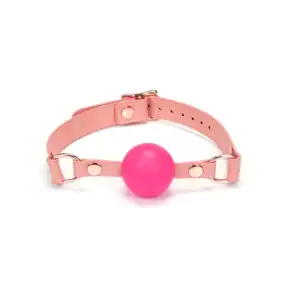 Packshot Baillon GAG en Cuir Rose et Boule en Silicone Rose