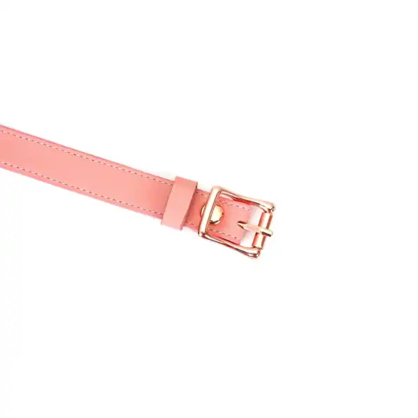 Packshot Baillon GAG aus rosa Leder und rosa Silikonkugel Detail auf Schnalle Attache Rose Gold