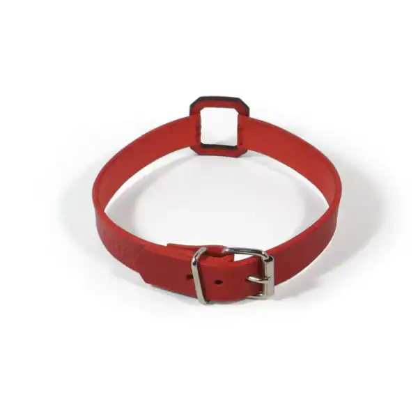 NIAR House - Choker 86806 Red Walpier Buttero Veg Tan Red Leather Choker and nickel-plated hardware