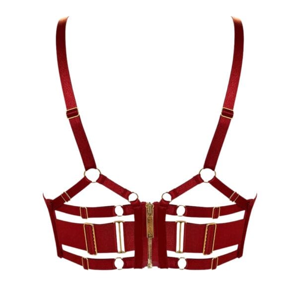 BORDELLE Signature - Soutien-gorge Balconnet Rouge Soutien-Gorge Balconnet à Armatures Rouge Brulé en Résille détails en Or Plaqué 24 Carats