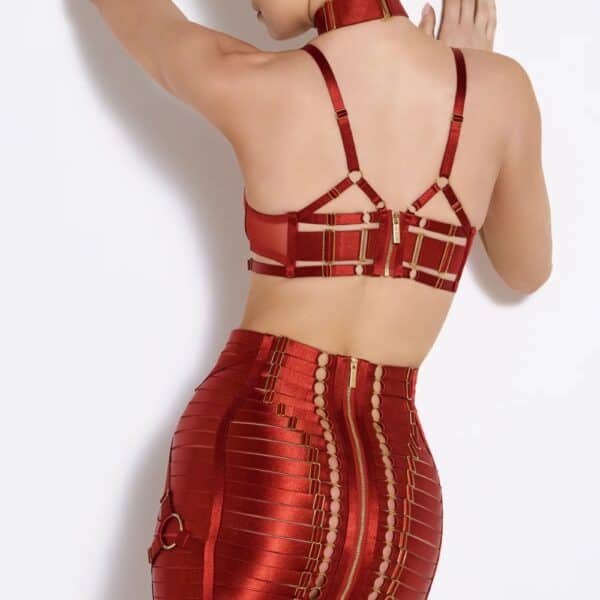 BORDELLE Signature - Jupe Waspie Harnais Rouge - Soutien-Gorge Rouge Brulé Jupe style Bondage en Résille Rouge et Élastique avec Détails Anneaux et Fermetures Plaqué Or 24 Carats et Soutien-Gorge en Résille Rouge Brulé avec avec Détails Plaqué Or 24 Carats