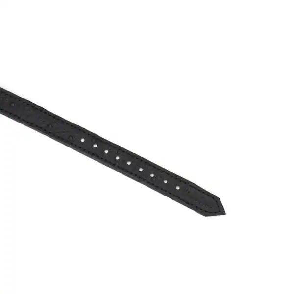 Gargantilla de cuero negro repujado con letras plateadas SLUT y ribetes dorados. Un accesorio ajustable, flexible y cómodo, perfecto para juegos BDSM y conjuntos fetichistas.