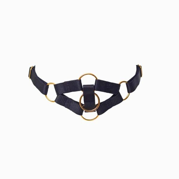 Packshot Choker aus schwarzen Gummibändern und drei goldenen Ringen aus vergoldetem Metall