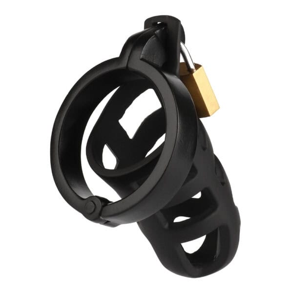 BRIGADE MONDAINE - Cage de chasteté BRUTAL Packshot Cage de chasteté Acier inoxydable Noir système de verrouillage avec cadenas et clé