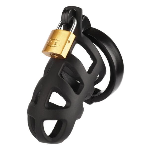 BRIGADE MONDAINE - Cage de chasteté BRUTAL Packshot Cage de chasteté Acier inoxydable Noir système de verrouillage avec cadenas et clé
