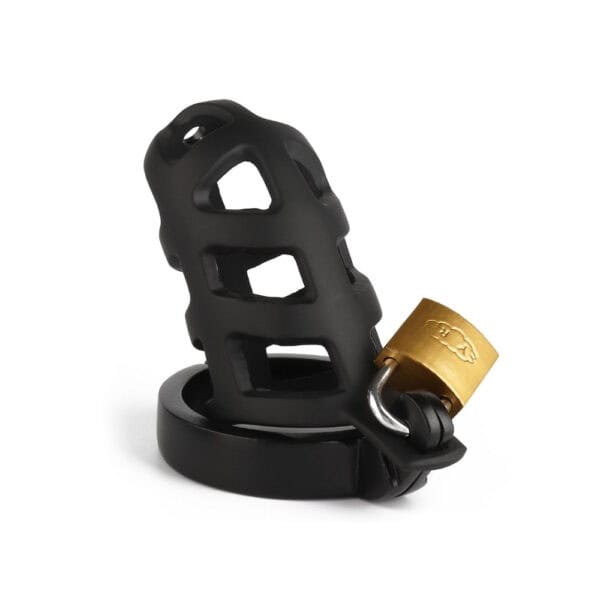BRIGADE MONDAINE - Cage de chasteté BRUTAL Packshot Cage de chasteté Acier inoxydable Noir système de verrouillage avec cadenas et clé
