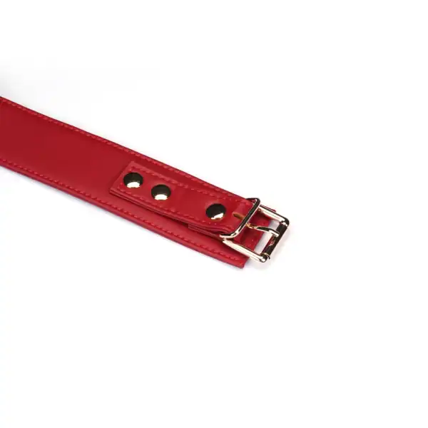 LIEBE SEELE Crimson Desire collar set de cuero rojo con collar ajustable, correa desmontable y cadena de metal dorado, se muestra sobre un fondo blanco en la vista detallada del producto
