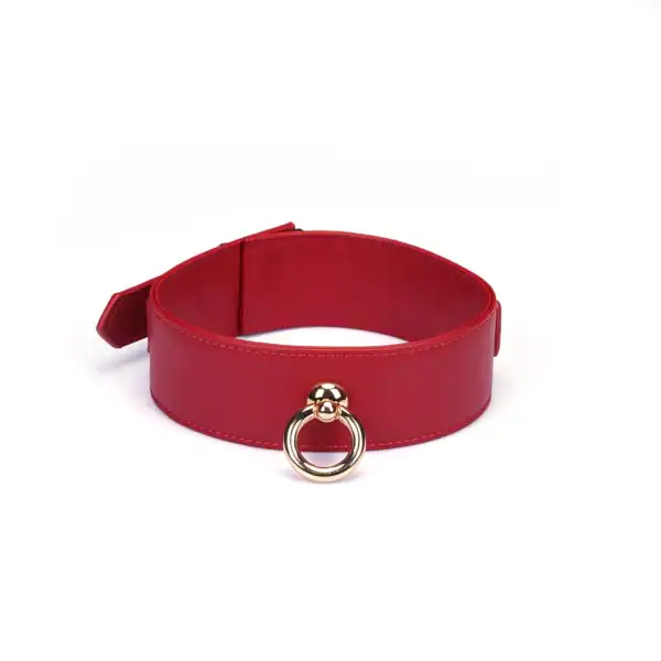 LIEBE SEELE Crimson Desire collar set de cuero rojo con collar ajustable, correa desmontable y cadena de metal dorado, se muestra sobre un fondo blanco en la vista detallada del producto