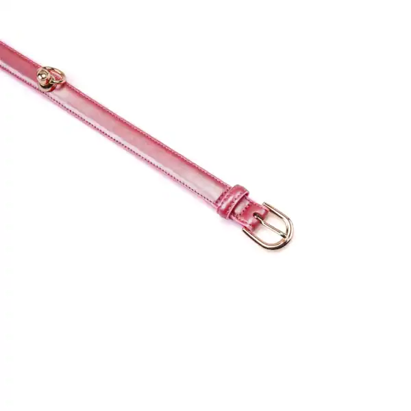 Set Collier Lustre Rosa en cuir rose brillant avec collier ajustable, chaîne métallique dorée et poignée assortie, présenté sur fond blanc en vue produit