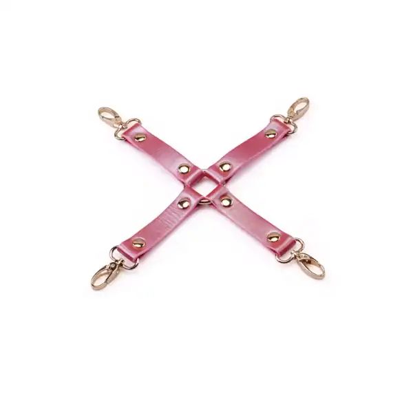 Hogtie Cuir Lustre Rosa LIEBE SEELE made of shiny pink leather straps with gold rivets and metal snap hooks, presented flat on a white background.