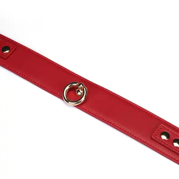 LIEBE SEELE Crimson Desire collar set de cuero rojo con collar ajustable, correa desmontable y cadena de metal dorado, se muestra sobre un fondo blanco en la vista detallada del producto