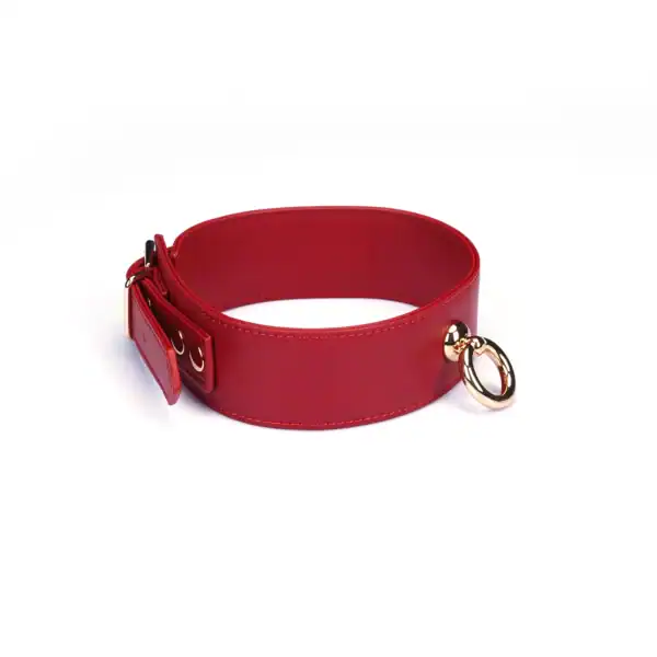 LIEBE SEELE Crimson Desire collar set de cuero rojo con collar ajustable, correa desmontable y cadena de metal dorado, se muestra sobre un fondo blanco en la vista detallada del producto