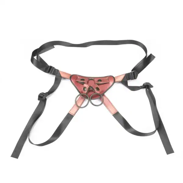Harnais Strap-On Pink LIEBE SEELE avec base structurée rose, sangles noires réglables et anneaux métalliques, présenté à plat sur fond blanc, vue produit détaillée