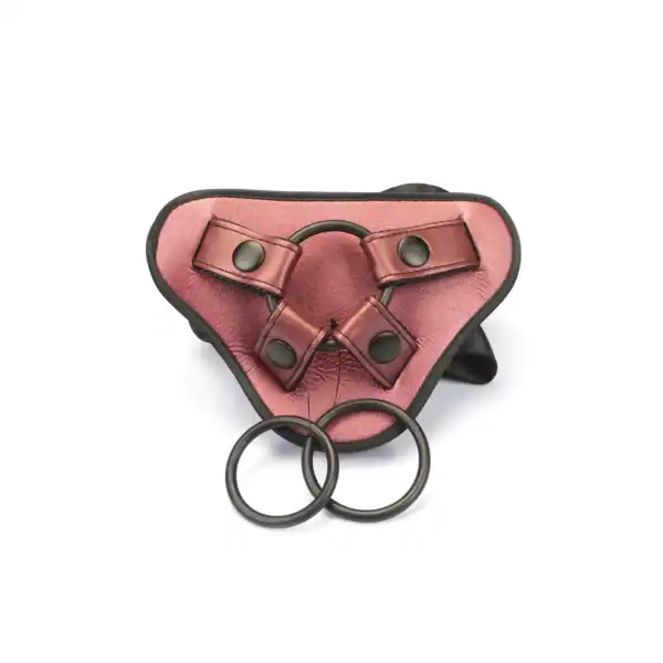 Harnais Strap-On Pink LIEBE SEELE avec base structurée rose, sangles noires réglables et anneaux métalliques, présenté à plat sur fond blanc, vue produit détaillée