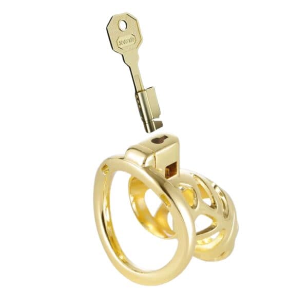 Chastity cage in polished gold-plated metal with fastening ring, presented on a white background, selection Brigade Mondaine Paris.
