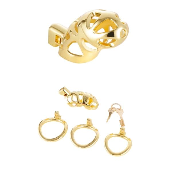 Chastity cage in polished gold-plated metal with fastening ring, presented on a white background, selection Brigade Mondaine Paris.