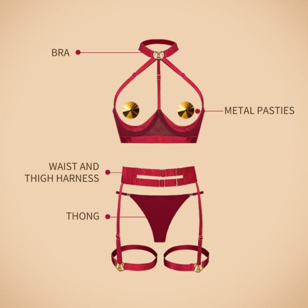 Schéma d’un ensemble de lingerie rouge composé d’un soutien-gorge avec harnais, de pasties métalliques, d’un string et d’un harnais taille et cuisses, présenté sur fond clair.