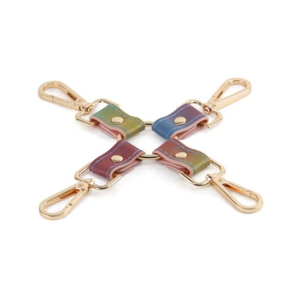 Hogtie BDSM en cuir multicolore Rainbow avec anneau central et quatre mousquetons en métal doré, présenté sur fond blanc dans une esthétique élégante et structurée.