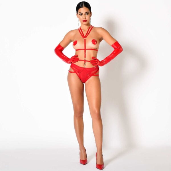 Harnais Nicole CATANZARO chez Brigade Mondaine Harnais Nicole CATANZARO rouge porté sur body noir en tulle, avec sangles ajustables et anneaux métalliques, accessoire haut de gamme proposé par Brigade Mondaine.