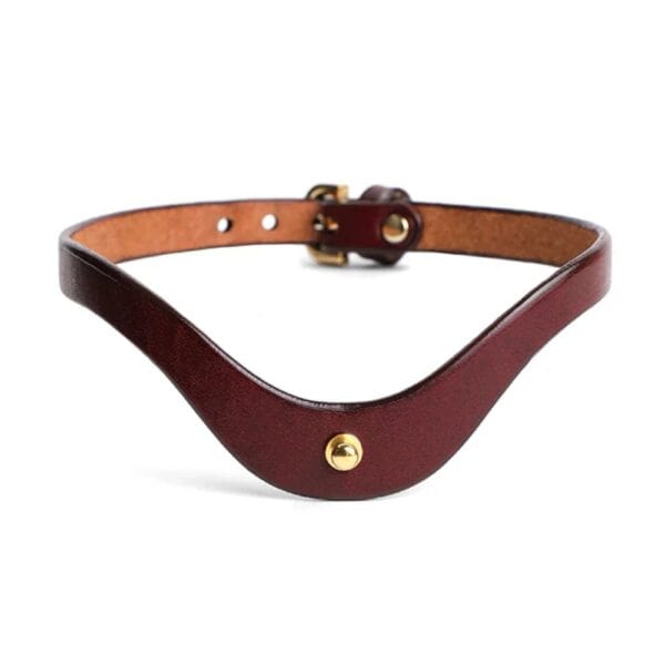 Collier ras-de-cou en cuir bordeaux ANOESES avec bouton métallique central, porté sur le cou d’un mannequin, vue rapprochée sur fond blanc.
