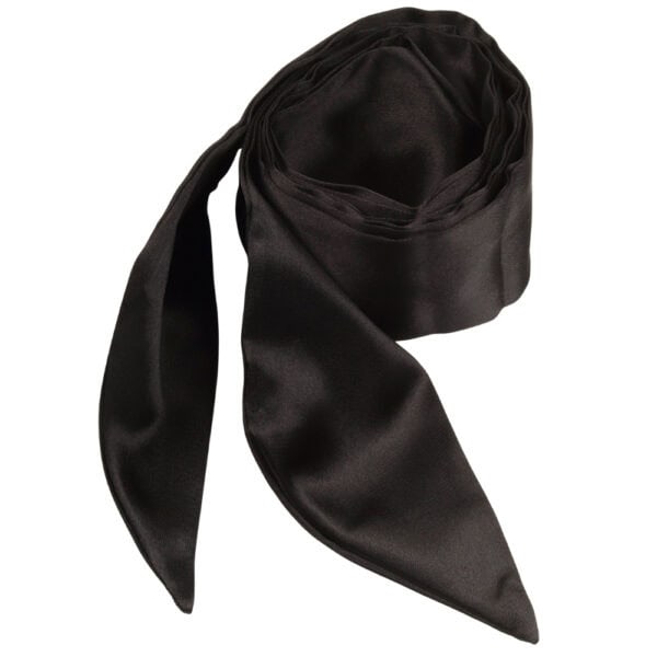 Set BDSM en cuir noir composé de liens ajustables avec anneaux dorés, d’un bandeau en tissu satiné et d’une plume noire montée sur manche doré, présenté sur fond blanc dans une esthétique épurée.