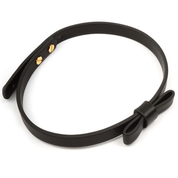 Set BDSM en cuir noir composé de liens ajustables avec anneaux dorés, d’un bandeau en tissu satiné et d’une plume noire montée sur manche doré, présenté sur fond blanc dans une esthétique épurée.