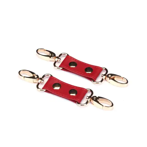 Hogtie Crimson Desire by Liebe Seele, with red leather straps linked by a central ring and gold snap hooks, presented on a light background in the Brigade Mondaine Paris universe.