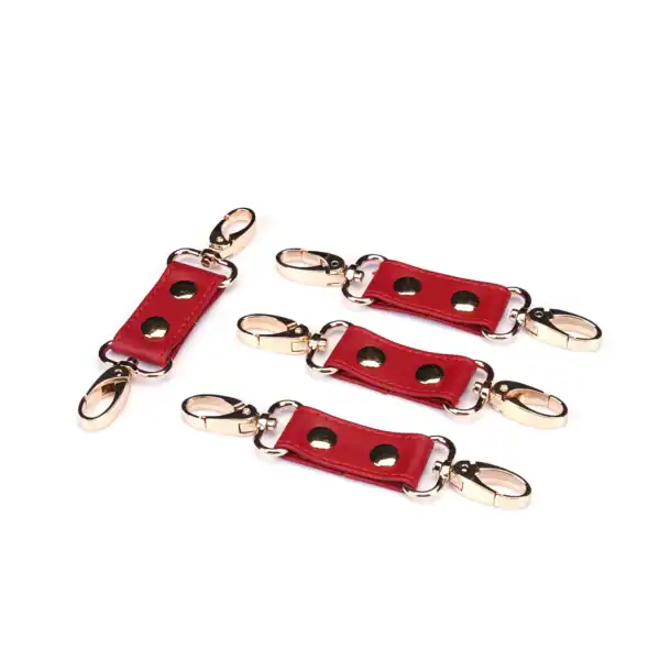 Hogtie Crimson Desire by Liebe Seele, with red leather straps linked by a central ring and gold snap hooks, presented on a light background in the Brigade Mondaine Paris universe.