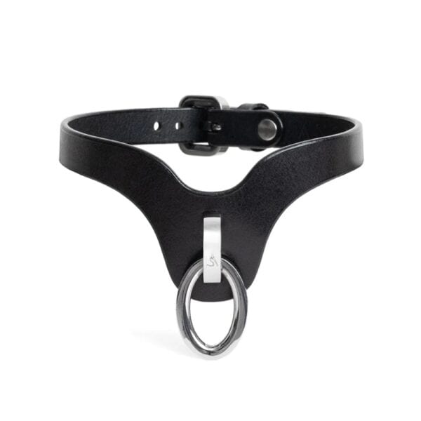 Collier choker en cuir noir avec anneau métallique argenté et boucle de fermeture.