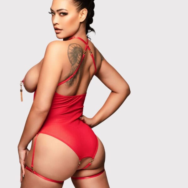 Red fishnet bodysuit with front cut-out, integrated harness and matching nipple covers.