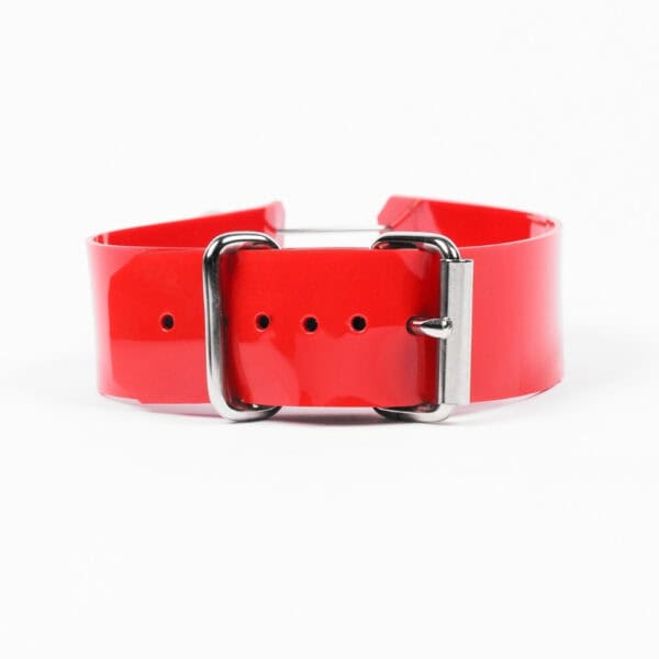 Модель носит Perlensau красный Industrial Choker из кожи с металлическими стержнями и серебряными сферами, предлагаемый Brigade Mondaine Paris.Модель носит Perlensau красный Industrial Choker из кожи с металлическими стержнями и серебряными сферами, предлагаемый Brigade Mondaine Paris.