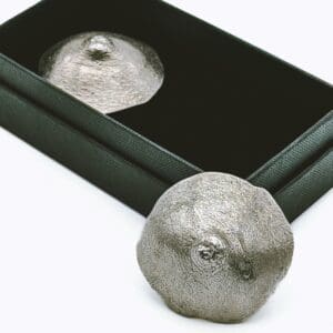 INCARNEM <br /><strong>Cache-tétons PEAU Argent</strong>