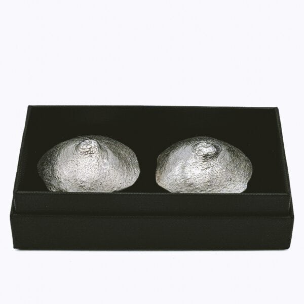 INCARNEM Marine Billet - BRIGADE MONDAINE Paris (14)