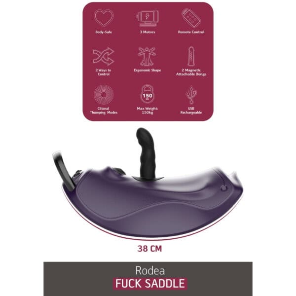 Accessoires intimes (49)