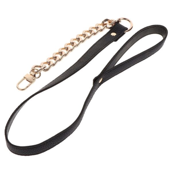 BRIGADE MONDAINE Sextoys Paris (17)