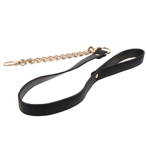 BRIGADE MONDAINE Sextoys Paris (19)